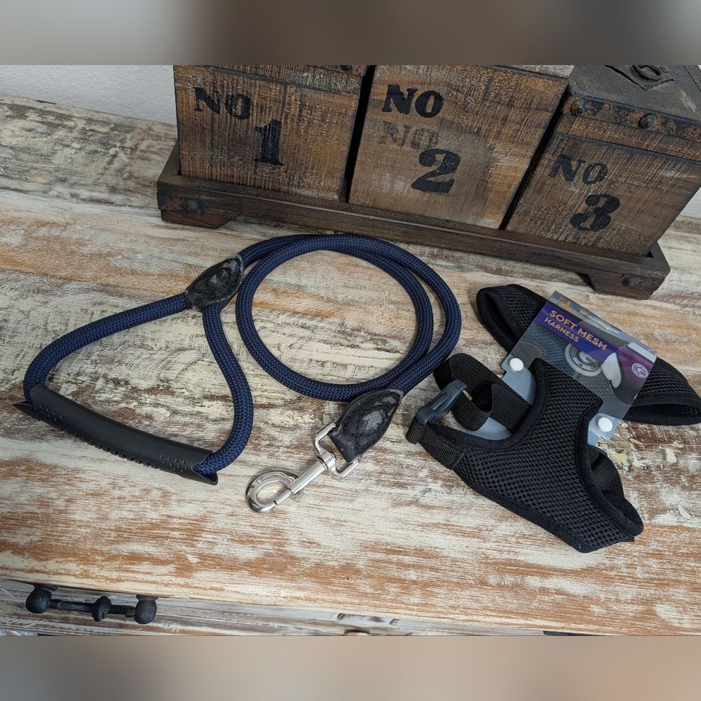 NOC Gooby Black Mesh Dog Harness and Leash